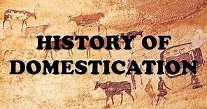 History Of Domestication