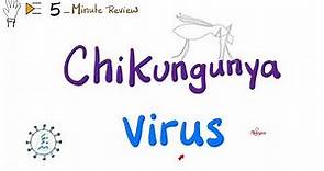 Chikungunya Virus (Mosquito-borne illness) | Virology