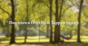 Oberlin College Virtual Tour: Downtown Oberlin and Tappan Square