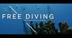 Free Diving | Red Sea Diving Safari