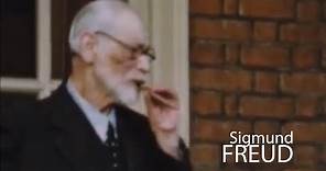Freud’s Unconscious - The Psychoanalysis of a Dream, and its Dreamer