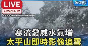 【LIVE】寒流發威水氣增!太平山即時影像線上追雪