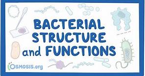 Bacterial Structure and Functions