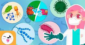 Microorganisms - Compilation Video - Bacteria, Viruses and Fungi - Explanation for Kids