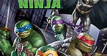 Batman vs. las Tortugas Ninja - película: Ver online