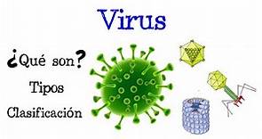 🦠 ¿Qué son los Virus? 🦠 Tipos y Clasificación 🦠 [Fácil y Rápido] | BIOLOGÍA |