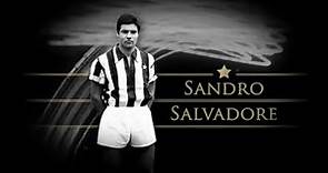 Biografia di Sandro Salvadore nella Juventus