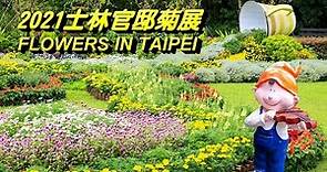 2021士林官邸菊花展(Flowers in Taipei)