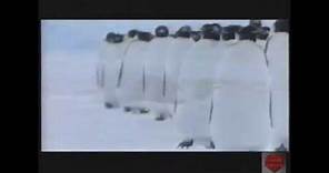 March of the Penguins Television Commercial 2005