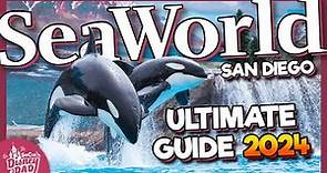 SeaWorld San Diego 2024 Guide | Tips, Exhibits, Rides, Shows & More