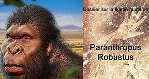 Paranthropus robustus