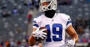 Every Miles Austin Touchdown | Miles Austin Highlights