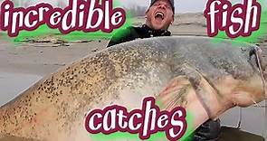 Catch of a Lifetime: The World's Top 20 Biggest Fish Ever Caught