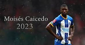Moisés Caicedo Nobody Can Dribble Him 2022/2023 Season ᴴᴰ