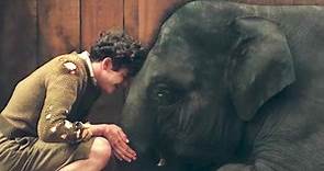 Zoo - Un amico da salvare, Il Trailer Ufficiale del Film - HD - Film (2017)