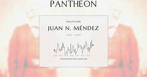 Juan N. Méndez Biography - President of Mexico from 1876 to 1877