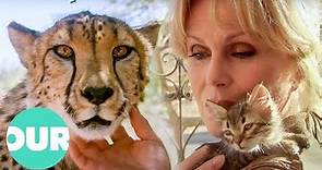 Joanna Lumley Explores Our Captivating Obsession with Cats | Our World