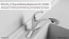 KOHLER Forte Pull-Out Kitchen Sink Faucet O-Ring and Bearing Replacement