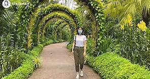 新加坡美食探店: 植物園內的隱藏美味咖啡館 | 植物園一日遊 | Cafe Recommendation in Singapore Botanic Gardens 🌳