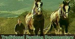 Traditional Farming Documentary -- Farm life in Ireland during the 1930s - "Preserving the Past"