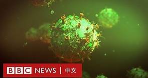 新冠疫情：下一場全球大流行疫情會從哪裡來？－ BBC News 中文