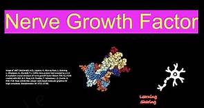 Nerve Growth Factor (NGF), Neurotrophic Protein, Nerve Cells, Tropomyosin Receptor Kinase A.