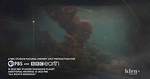 BBC Studios Natural History Unit/PBS/BBC Earth (2022)