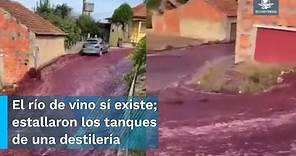 Calles de Portugal se convierten en un río de vino tinto