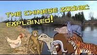Chinese Zodiac Explained | Learn Chinese Now