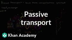 Passive transport and selective permeability | Biology | Khan Academy