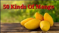 50 kinds of mangoes || 50 varieties of mangoes || The Information Hunt