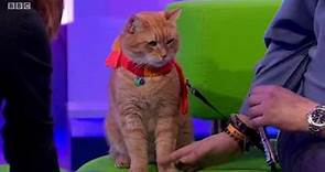 The One Show with James Bowen and his 'StreetCat' named Bob ! - 24th Oct 2016