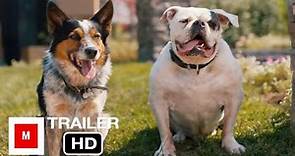 Pups Alone (2021) | Official Trailer | Jennifer Love, Keith David, Danny Trejo |