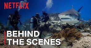 Our Planet II | Behind the Scenes | Netflix
