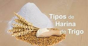Tipos Harina de Trigo - Cómo se Clasifican y Cómo se Denominan en Otros Países │Club de Reposteria