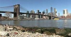 Guida del ponte di Brooklyn (New York)