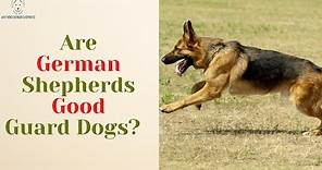 Are German Shepherds Good Guard Dogs?