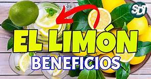 🍋 El Limón y sus principales Beneficios ¿Qué propiedades tiene el JUGO de LIMÓN? 🍋