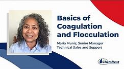 Basics of Coagulation and Flocculation | 10-Minute Tech Series