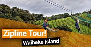 🌳 Waiheke Island Zipline Tour with EcoZip Adventures – New Zealand's Biggest Gap Year