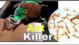 How to make Ant Trap?