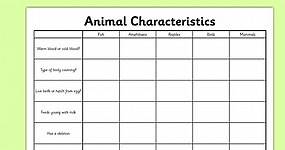 Animal Characteristics Worksheet