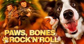 Paws, Bones & Rock'n'roll trailer (english subtitles)