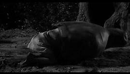 Wer die Nachtigall stört (1962) / Trailer