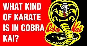 What Kind of Karate is in Cobra Kai? | ART OF ONE DOJO