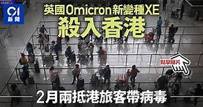 英國Omicron新變種XE殺入香港 衞生署首披露2月2抵港旅客帶病毒│01新聞