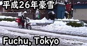 記録的大雪の東京府中（2014年2月15日）State of suburbs of Tokyo with recordable heavy snow.