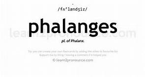 Pronunciation of Phalanges | Definition of Phalanges