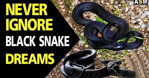 What does black snake dream meaning | dream interpretation | dreaming of black snake