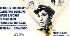 La caza del hombre (1964) Online - Película Completa en Español - FULLTV